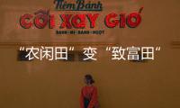 “農閑田”變“致富田” 江西南昌搶抓農時推進油菜種植