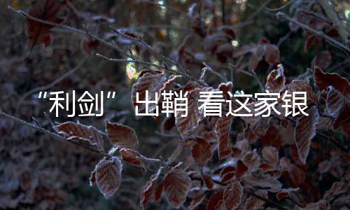 “利劍”出鞘 看這家銀行如何識(shí)破“老板”真面目