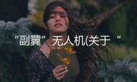“副翼”無人機(關于“副翼”無人機簡述)