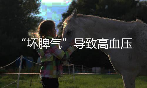 “壞脾氣”導致高血壓