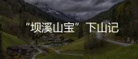 “壩溪山寶”下山記