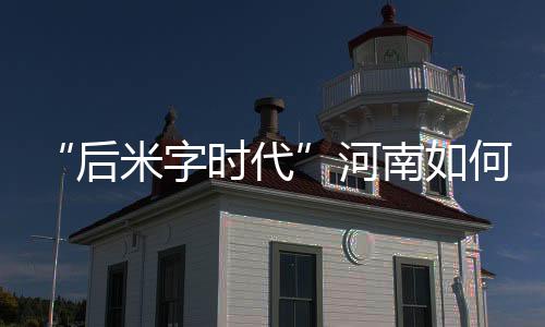 “后米字時代”河南如何再造“王牌”