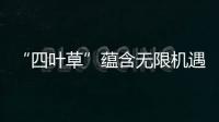 “四葉草”蘊含無限機遇 續(xù)寫更精彩的“進博故事”