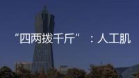 “四兩撥千斤”：人工肌肉纖維制備有新招—新聞—科學網