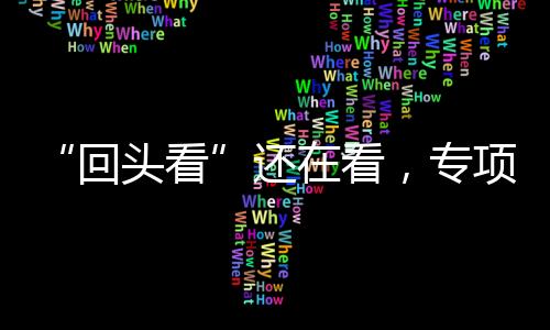 “回頭看”還在看，專項(xiàng)治理又來了