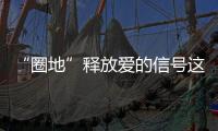 “圈地”釋放愛的信號(hào)這只野生大熊貓求偶的可愛模樣全被拍下來了→