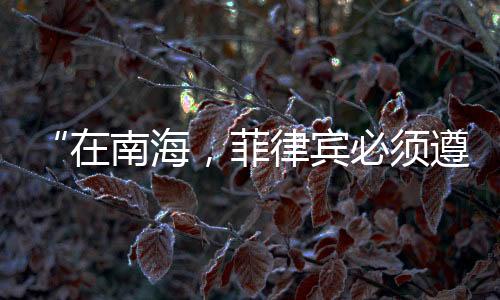 “在南海，菲律賓必須遵守東盟方式”