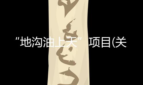 “地溝油上天”項目(關于“地溝油上天”項目簡述)