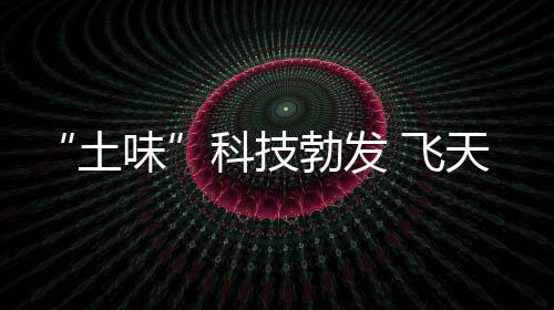 “土味”科技勃發 飛天使命必達