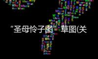 “圣母憐子圖”草圖(關于“圣母憐子圖”草圖簡述)