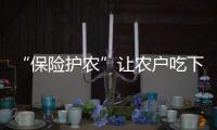 “保險護農(nóng)”讓農(nóng)戶吃下“定心丸”_