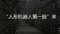 “人形機器人第一股”來了
