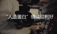 “人造蛋白”領域迎利好 多家上市公司已布局