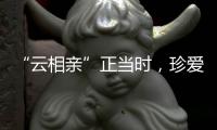 “云相親”正當時，珍愛網助南京青年解鎖幸福密碼
