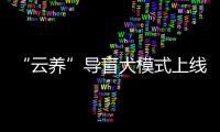 “云養(yǎng)”導(dǎo)盲犬模式上線 你心動了嗎？來看看