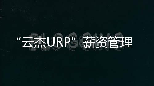 “云杰URP”薪資管理系統V2.0(關于“云杰URP”薪資管理系統V2.0簡述)