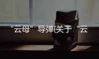 “云母”導彈(關于“云母”導彈簡述)