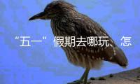 “五一”假期去哪玩、怎么玩、哪里人最多？大數據告訴你