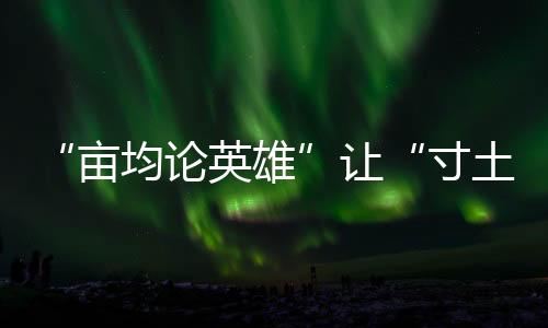“畝均論英雄”讓“寸土”成為“寸金”丨大象時政+圖解