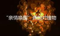 “親情喚醒”真的對植物人有效嗎