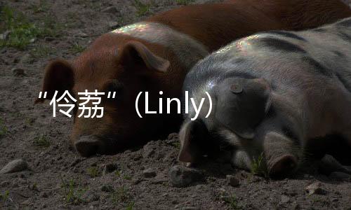 “伶荔”(Linly) 開源大規(guī)模中文語言模型