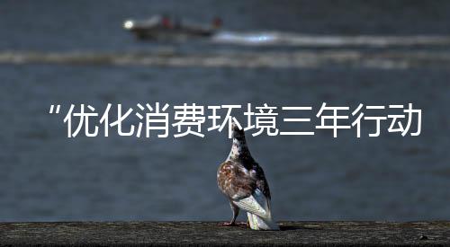 “優化消費環境三年行動”系列評論1