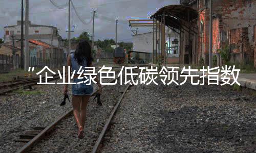 “企業綠色低碳領先指數”首期成果發布