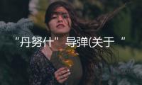 “丹努什”導彈(關于“丹努什”導彈簡述)