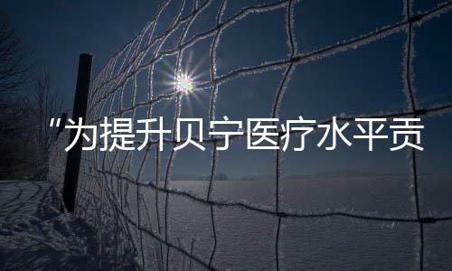 “為提升貝寧醫療水平貢獻力量”（新時代中非合作）