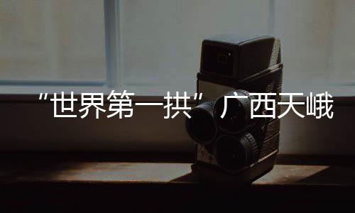“世界第一拱”廣西天峨龍灘特大橋獲國際大獎
