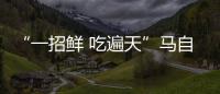 “一招鮮 吃遍天”馬自達靠產品穩定增長