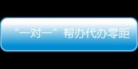 “一對一”幫辦代辦零距離服務殘疾人士