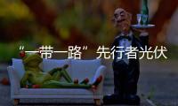 “一帶一路”先行者光伏龍頭企業布局盤點