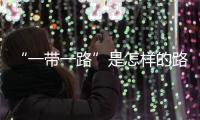 “一帶一路”是怎樣的路？聽聽他們怎么說