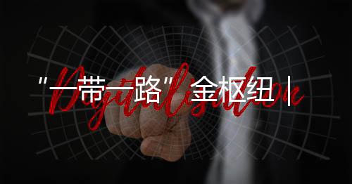 “一帶一路”金樞紐｜ 外籍達(dá)人打卡寧波舟山港：連接世界的貨運(yùn)動脈