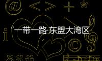 “一帶一路·東盟大灣區(qū)杯”國際青少年足球賽開賽