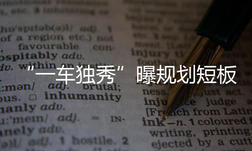 “一車獨秀”曝規劃短板長城增長存疑