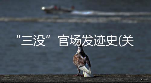 “三沒”官場發跡史(關于“三沒”官場發跡史簡述)