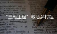 “三雁工程”激活鄉村組織振興“新引擎”