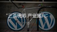 “三茶統(tǒng)籌 產(chǎn)業(yè)振興”主題論壇在福州召開
