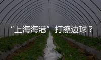 “上海海港”打擦邊球？中性名難以避免有陣痛