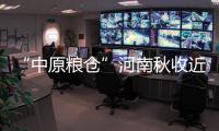 “中原糧倉”河南秋收近尾聲 冬小麥播種拉開序幕