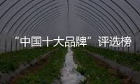 “中國十大品牌”評選榜單揭曉 索菲亞指紋鎖捷報頻傳