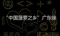 “中國菠蘿之鄉(xiāng)”廣東徐聞菠蘿出口逐年擴(kuò)大