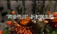 “兩會熱詞”折射民生期盼
