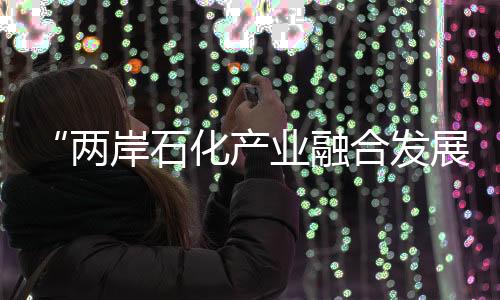 “兩岸石化產(chǎn)業(yè)融合發(fā)展路徑研究”項(xiàng)目啟動(dòng)