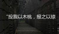 “投我以木桃，報之以瓊瑤，匪報也，永以為好也”的意思是什么