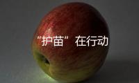 “護苗”在行動