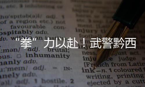 “拳”力以赴！武警黔西南支隊組織搏擊教練員集訓