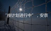 “按計劃進行中”，安奈兒“不死”的抗病毒夢